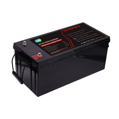 24V 100AH ​​matkailuauton vara-akku